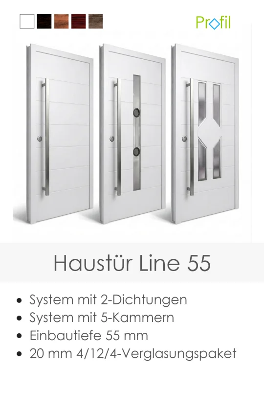 Haustuer-Line-55